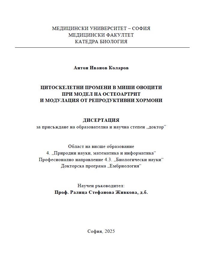 thumbnail.default.alt